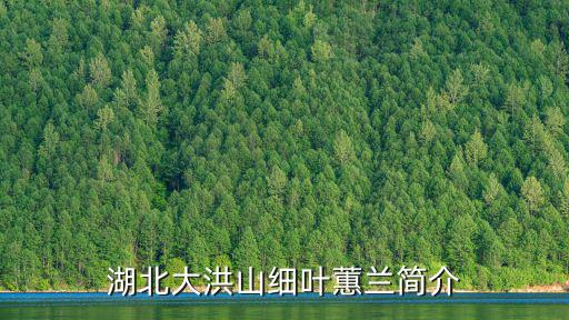 湖北大洪山細(xì)葉蕙蘭簡(jiǎn)介