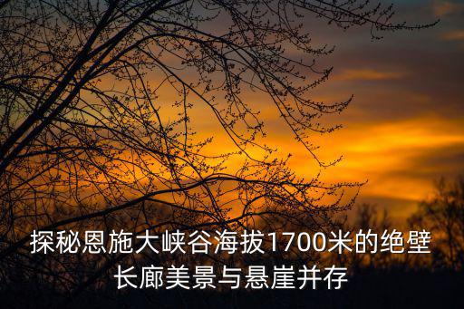 探秘恩施大峽谷海拔1700米的絕壁長廊美景與懸崖并存