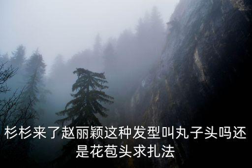 杉杉來了趙麗穎這種發型叫丸子頭嗎還是花苞頭求扎法
