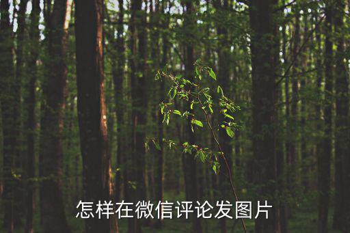 微信評(píng)論怎么發(fā)圖，如何把圖像放在發(fā)表評(píng)論上
