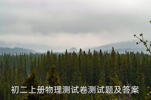 初二上冊物理測試卷測試題及答案