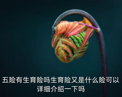 五險有生育險嗎生育險又是什么險可以詳細介紹一下嗎