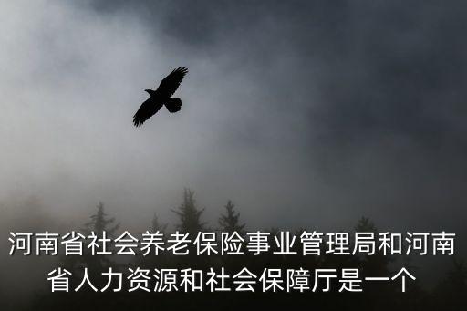河南省社會(huì)養(yǎng)老保險(xiǎn)事業(yè)管理局和河南省人力資源和社會(huì)保障廳是一個(gè)