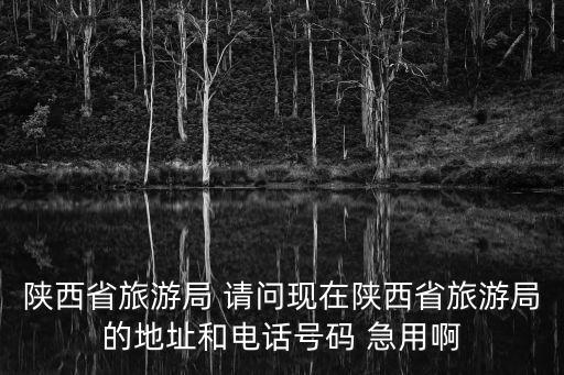 陜西省旅游局 請問現(xiàn)在陜西省旅游局的地址和電話號碼 急用啊