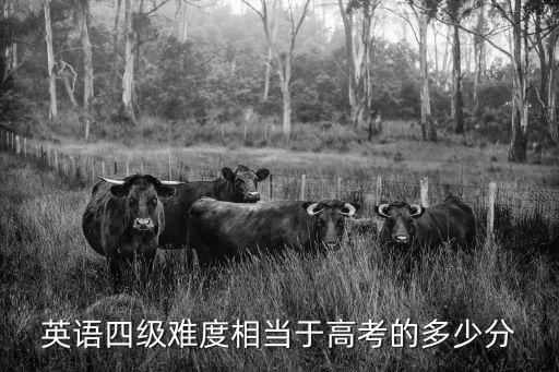 四六級考試官網，有在中國四六級考試網代報過名的么想問問靠不靠譜可信度什么的