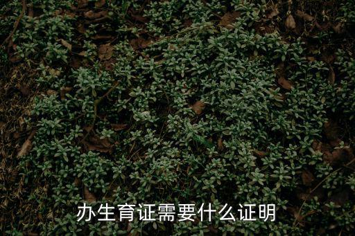 辦生育證需要什么證明