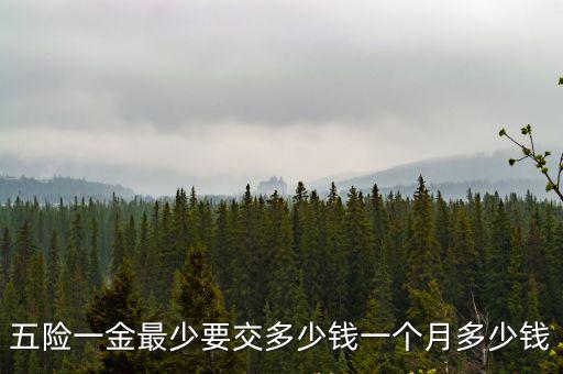 五險(xiǎn)一金最少要交多少錢一個(gè)月多少錢