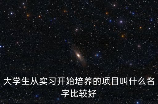 大學(xué)生從實習(xí)開始培養(yǎng)的項目叫什么名字比較好