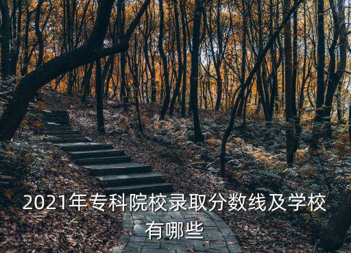 專科學校分數線，2021年專科院校錄取分數線及學校有哪些