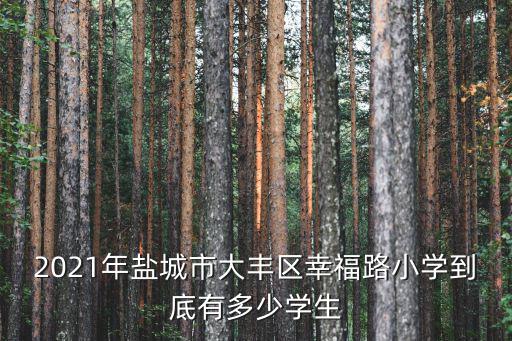 2021年鹽城市大豐區(qū)幸福路小學(xué)到底有多少學(xué)生