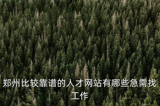鄭州人才招聘網(wǎng)，鄭州的人才招聘網(wǎng)哪個比較好
