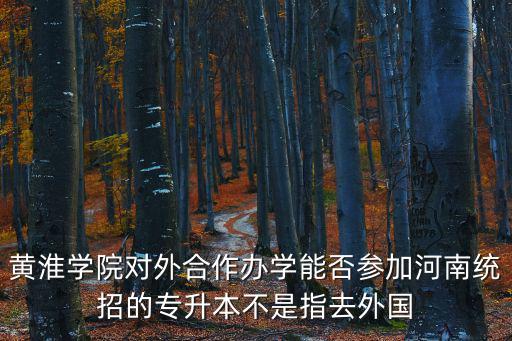 黃淮學(xué)院對(duì)外合作辦學(xué)能否參加河南統(tǒng)招的專升本不是指去外國(guó)