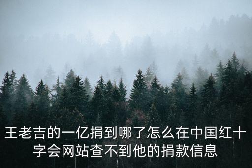 王老吉的一億捐到哪了怎么在中國紅十字會網(wǎng)站查不到他的捐款信息