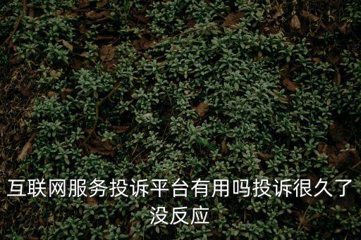 互聯網服務投訴平臺有用嗎投訴很久了沒反應