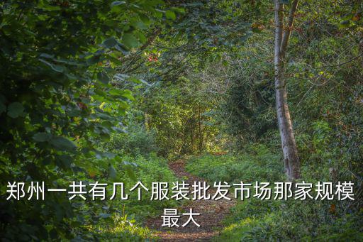 鄭州一共有幾個服裝批發市場那家規模最大