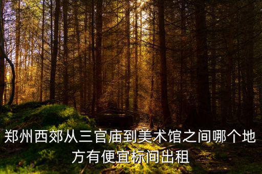 鄭州西郊從三官廟到美術館之間哪個地方有便宜標間出租