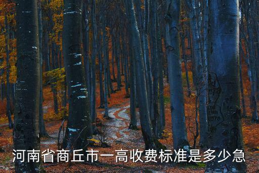 商丘一高，河南省商丘市一高收費標準是多少急