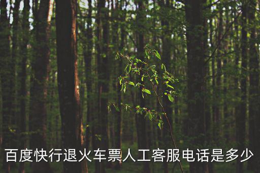 百度快行退火車票人工客服電話是多少