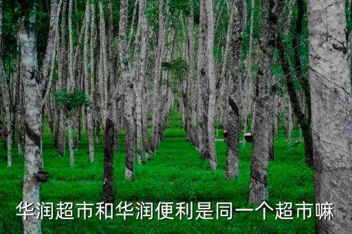 華潤超市和華潤便利是同一個超市嘛