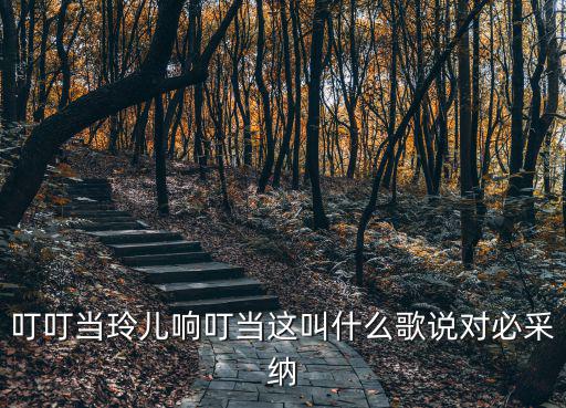 叮叮當(dāng)玲兒響叮當(dāng)這叫什么歌說對必采納