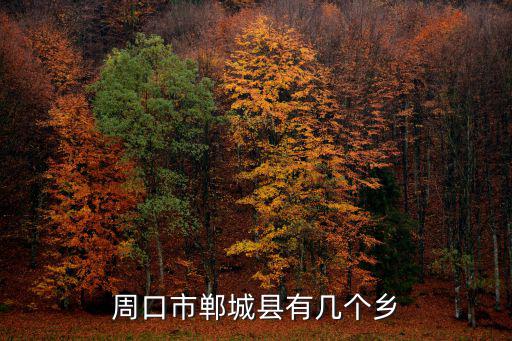 鄲城縣，周口市鄲城縣在歷史上屬于哪些國家