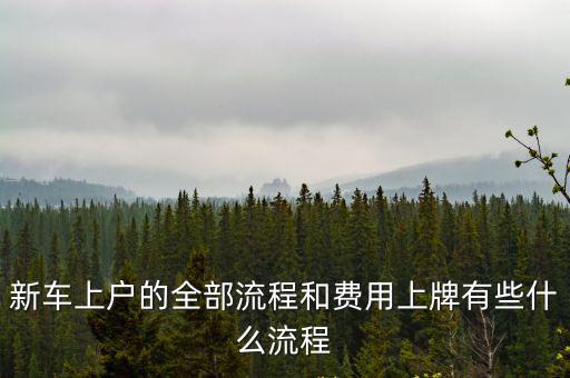 新車上戶的全部流程和費用上牌有些什么流程