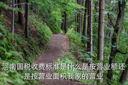 河南國稅，問什么河南國稅可以進去但不顯示有時候能上有時候上不去就是