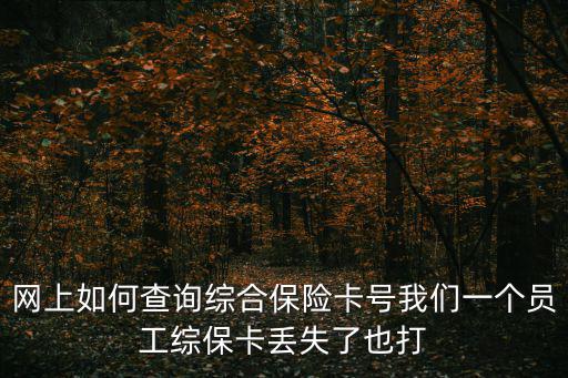網上如何查詢綜合保險卡號我們一個員工綜保卡丟失了也打