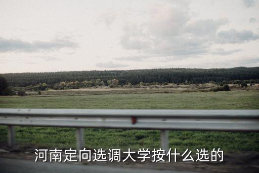 河南定向選調大學按什么選的