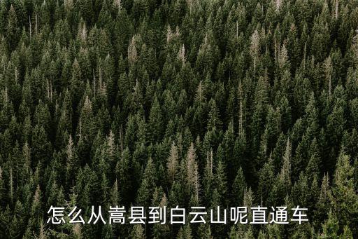 怎么從嵩縣到白云山呢直通車