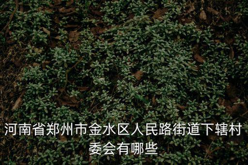 河南省鄭州市金水區人民路街道下轄村委會有哪些