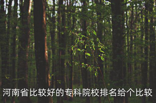河南省比較好的?？圃盒Ｅ琶o個比較
