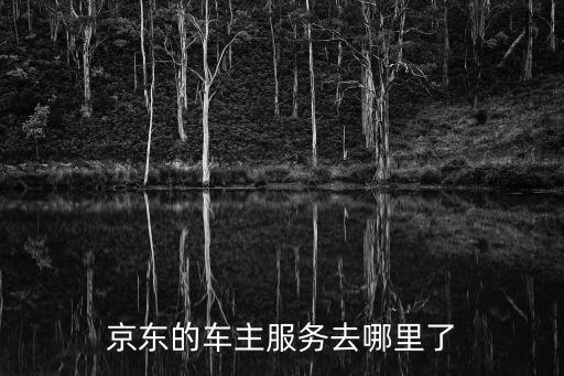 京東的車主服務去哪里了