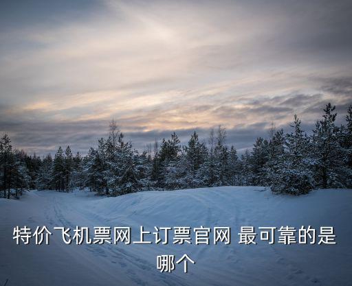 特價飛機票網上訂票官網 最可靠的是哪個