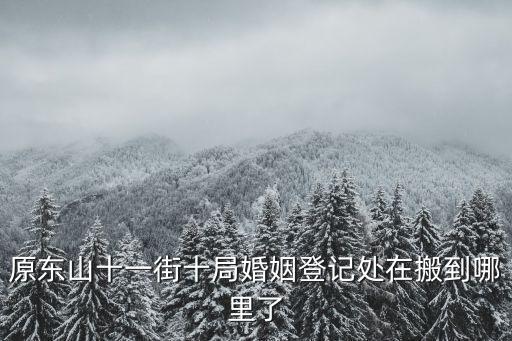 原東山十一街十局婚姻登記處在搬到哪里了