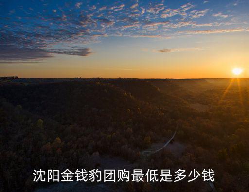 沈陽金錢豹團購最低是多少錢