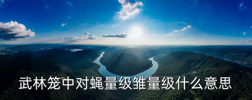 武林籠中對蠅量級雛量級什么意思