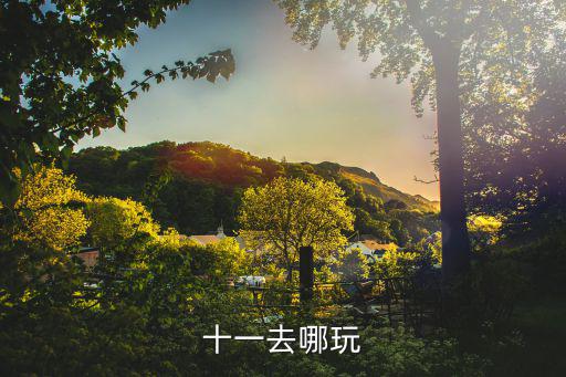 十一去哪玩