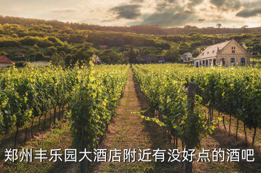 鄭州豐樂園大酒店附近有沒好點的酒吧