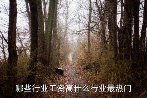 哪些行業工資高什么行業最熱門