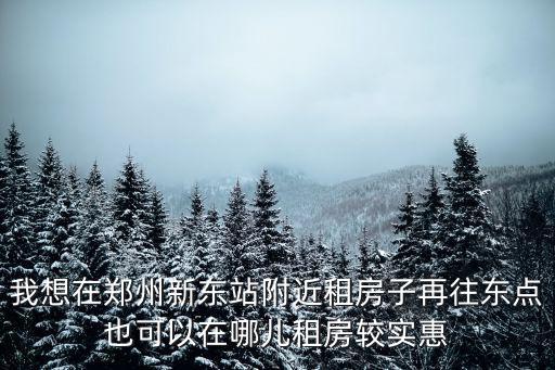 我想在鄭州新東站附近租房子再往東點也可以在哪兒租房較實惠