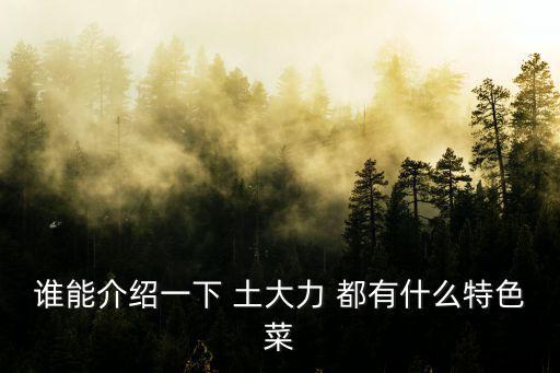 誰(shuí)能介紹一下 土大力 都有什么特色菜