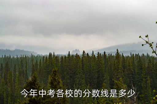 今年中考各校的分數線是多少