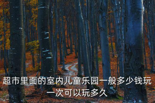 超市里面的室內兒童樂園一般多少錢玩一次可以玩多久