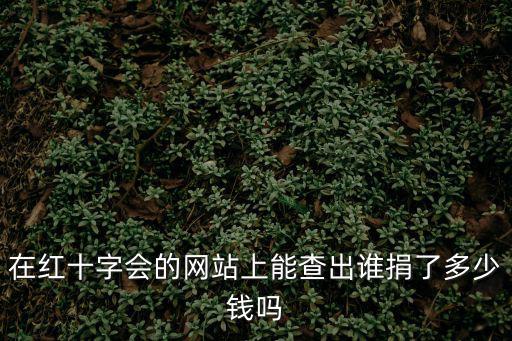 在紅十字會的網(wǎng)站上能查出誰捐了多少錢嗎