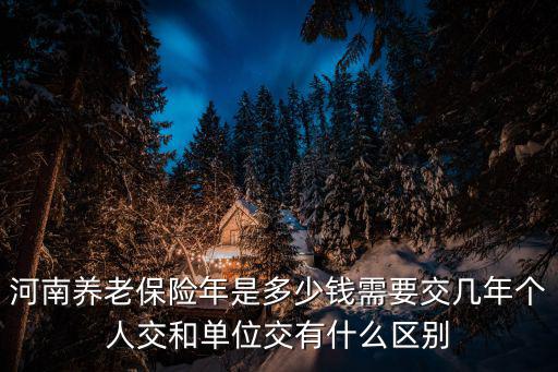 河南養老保險年是多少錢需要交幾年個人交和單位交有什么區別
