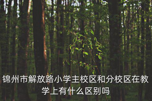 錦州市解放路小學(xué)主校區(qū)和分校區(qū)在教學(xué)上有什么區(qū)別嗎