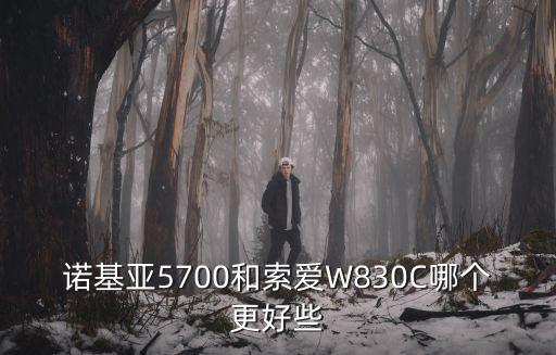 優放音樂節，諾基亞5320好不好它有那些優點和缺點
