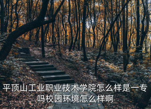 平頂山工業(yè)職業(yè)學(xué)院，平頂山工業(yè)職業(yè)技術(shù)學(xué)院怎么樣是一專嗎校園環(huán)境怎么樣啊