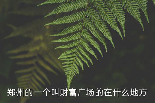 鄭州的一個(gè)叫財(cái)富廣場(chǎng)的在什么地方